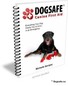 Dogsafe Canine First Aid course manual