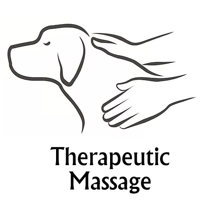 How to Massage Your Dog workshop