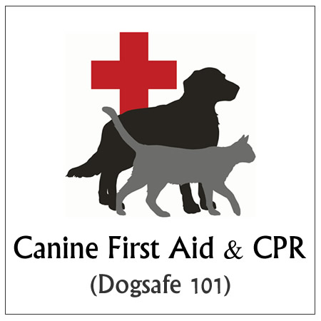 Smiling Dog Canine First Aid & CPR - Dogsafe Authorized