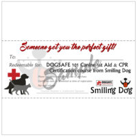 Dogsafe 101 Canine First Aid & CPR GIFT CERTIFICATE